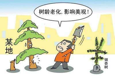 征地拆迁补偿中树木移植补偿是多少？