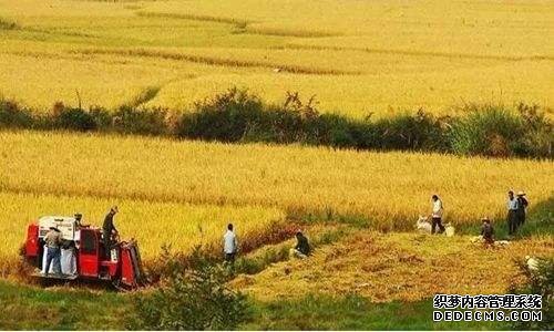 解决农村集体土地征用中的问题