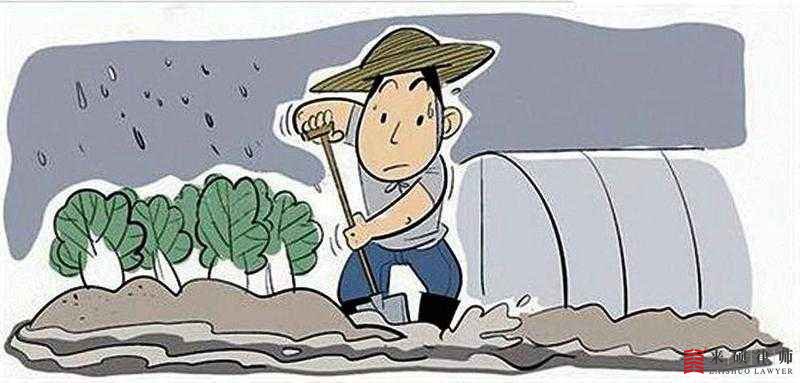 在自家承包地搭建大棚是否违法？