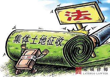 哪些法律法规可以惩治政府的违法征地？