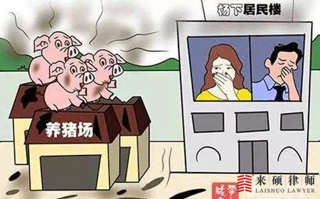 在集体土地上能建养殖场吗？