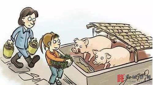 养殖场的补偿标准是怎样的？