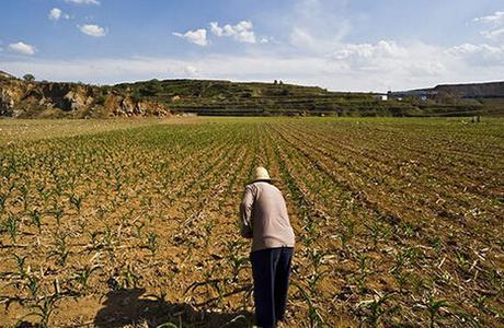 农村征收耕地补偿政策！实行同地同价补偿