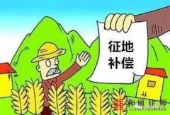 律师答疑：拆迁时非农户能否享受本村村民的待